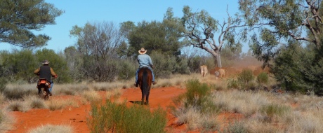 Bringing the cattle in at Kilcowera Station, Outback Australia